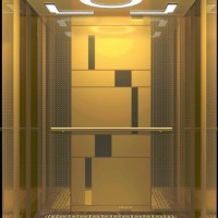 Machine Roomed Passenger Elevator Un-Victor (R)