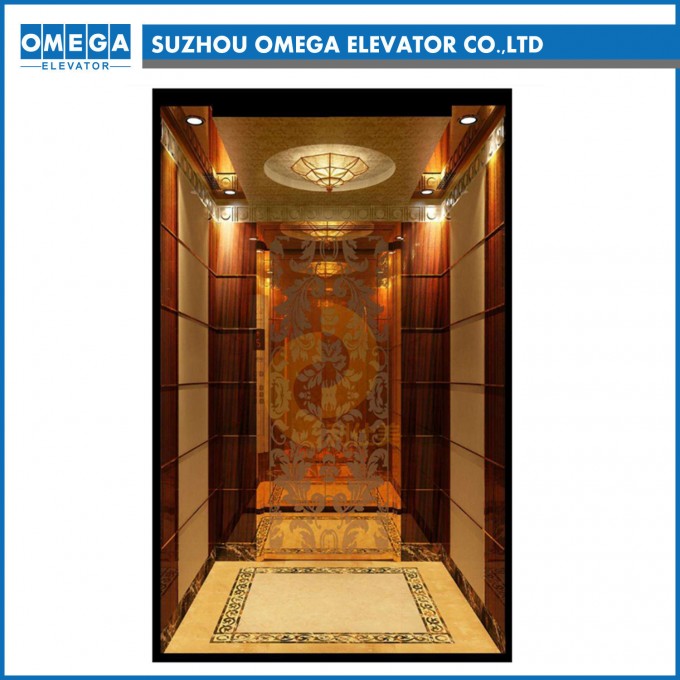 FUJI Golden Mirror 304 Stainless Steel Passenger Elevator From Factory Image1