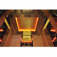 Passenger Elevator From China Professional Factory (XNK-08)