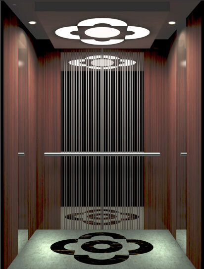Gearless Passenger Elevator From China Image1