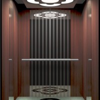 Gearless Passenger Elevator From China
