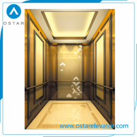Gloden Color Passenger Elevator Home Lift for Villa Used
