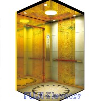 FUJI Passenger Lift Elevator with Good Price