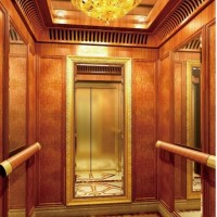 800kg Mirror Finish Passenger Elevator with Stainless Steel Door (XNK-003)