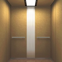 Cheap Passenger Elevator Lift Price/Food Elevator/Used Elevator