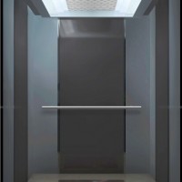 Good Price for Passenger Elevator/ Residential Elevator