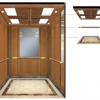 Wooden Cabin Passenger Elevator with Competitive Price