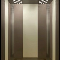 Small Machine Room Passenger Elevator with Gearless Traction Machine