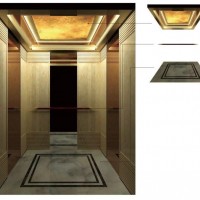 Grand Mirror Passenger Elevator Supplier