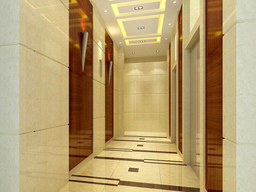 Hotel Passenger Elevator with Gorgeous Car Image1