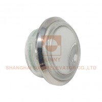 Stainless Steel and Special Filing Process Push Button (SN-PB22J)