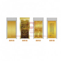 Residential Platform Illumination Elevator Cabin Decoration Elevator Door Panel (SN-DP-325)