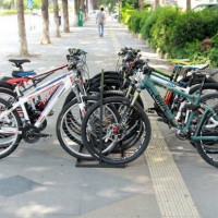 Mounted & Simple Bicycle Hanger Bike Rack