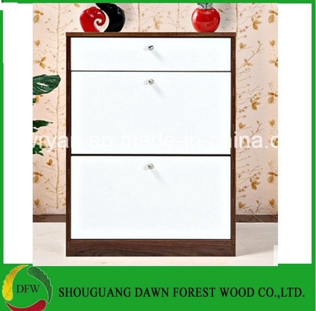 Melamine Chipboard Simple Shoe Cabinet/Shoe Rack Image1