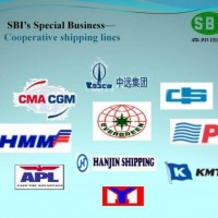 Professional Shippin