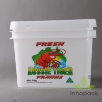 10L Rectangular Plas
