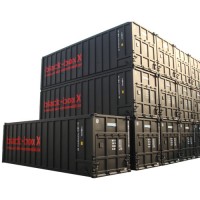 30′standard Ocean Shipping Container Coke-Container