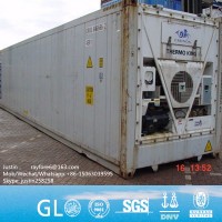Philippines Vietnam Laos Cambodia Myanmar 20 FT New Reefer/Refrigerated Shipping Containers in Qingd