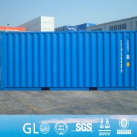 New Zealand and Australia 20ft New Shipping Container