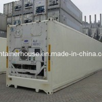 Used 20 Reefer Container