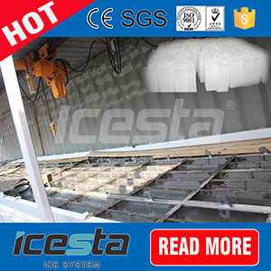 Icesta Professional Block Ice Container Image1