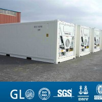 Good Sale Repaint Reefer/Referigerated Container with Referigerated Unit for Sale