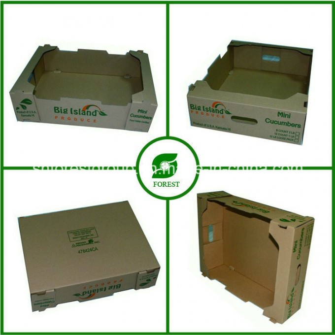 Printed Corrugated Carton Box for Fresh Fruit and Vegetable Packaging (FP020006) Image1