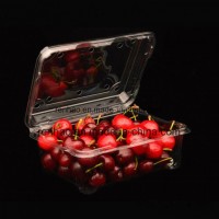 500g Fruit and Vegetable Packaging Box Pet Plastic Color Fresh Fruit Holder
