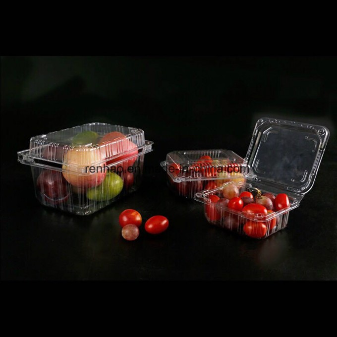 China Supplier Fresh Meat Tray Container Food packaging Box Fruits Blister Clamshells Image1