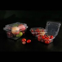 China Supplier Fresh Meat Tray Container Food packaging Box Fruits Blister Clamshells