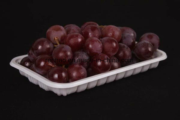 Custom Plastic Packaging Folding Printing Boxes Image1