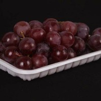 Custom Plastic Packaging Folding Printing Boxes