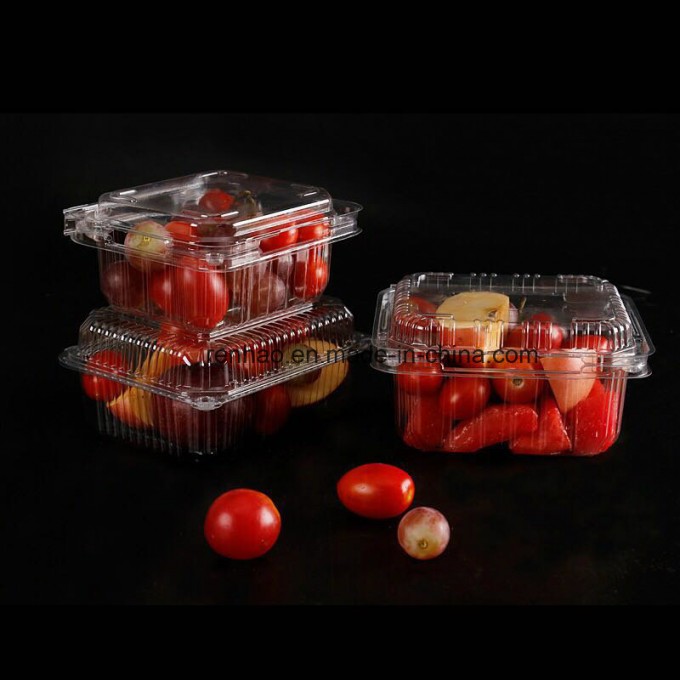 China Supplier Clear Costumized Plastic Blister Packaging Food Fruits Retail Packing Clamshell Box Image1