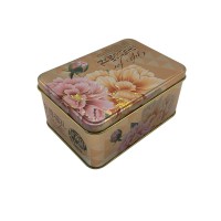 Rectangle Shape Wholesale Cookie Cake Box Packaging Tin Container