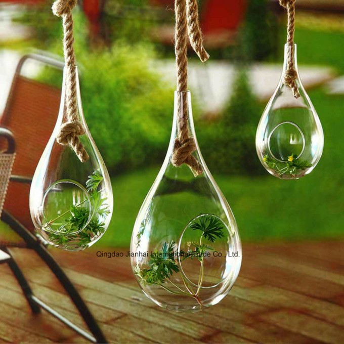 Custom Clear Glass Terrarium/ Glass Vase/ Glass Container for Decoration Image1