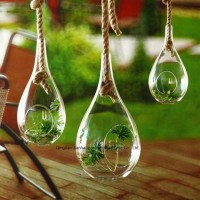 Custom Clear Glass Terrarium/ Glass Vase/ Glass Container for Decoration