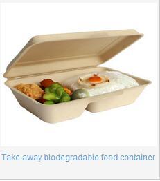 Pulp Molded Biodegradable Lunch Box Container Image1