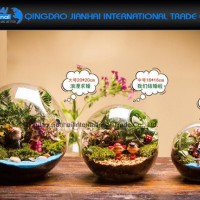 Table Decoration Ball Glass Flower Planter Vase Terrarium Container