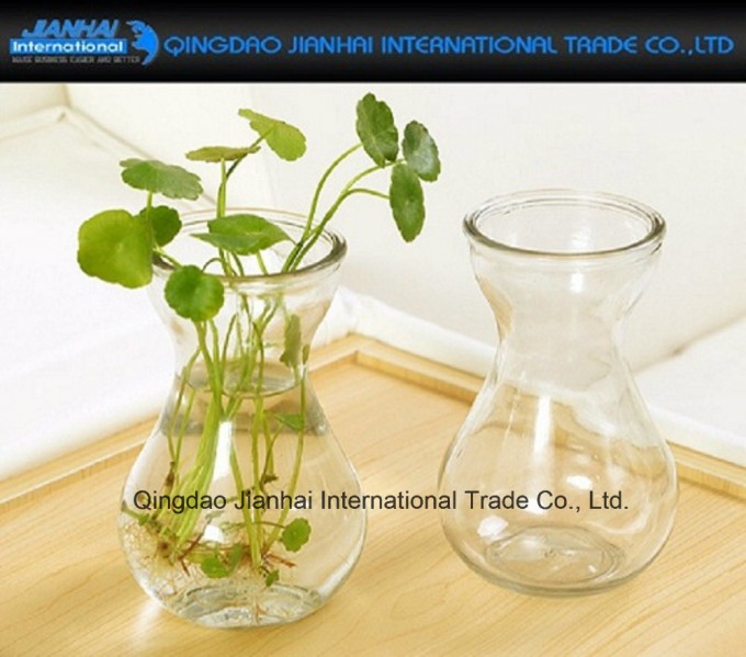 Indoor Decoration Flower Water Plant Hanging Vase Container Image1