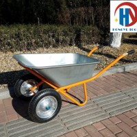 Heavy Duty Durable 2 Wheel Wheelbarrow for Europe