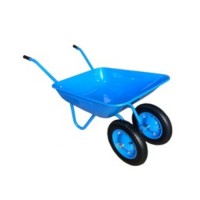 Cheap Price Garden Wheelbarrow with Two Wheel
