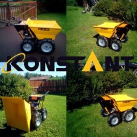 Environmental Protection and Energy Saving Family Trolley/Power Barrow