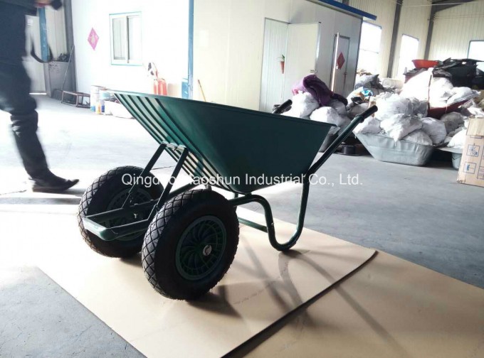 Wheelbarrow of New Design Wb6414t Two Wheels Image1