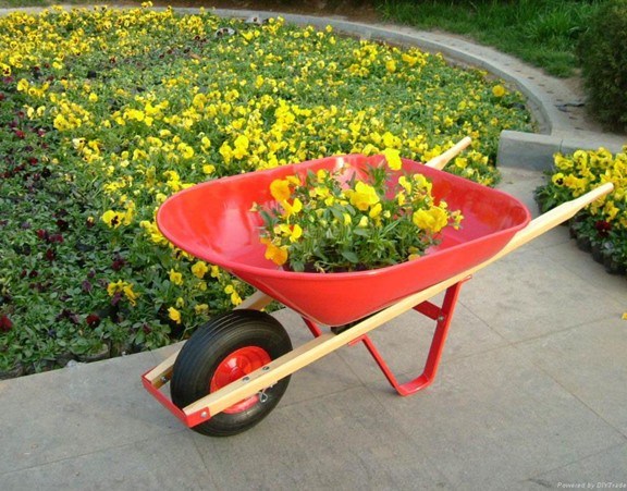 Woodle Handle Wheelbarrow /Wheel Barrow Wh5200 Image1