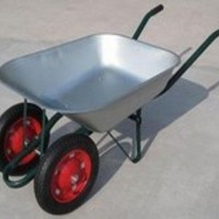 Wheelbarrow with Two Wheels Wb6203A