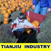 China Wheel Barrow Wheelbarrow