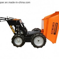 Oil Palm Power Barro