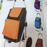 Folding Shopping Tro