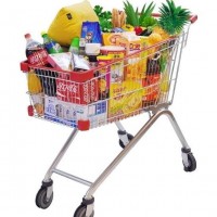 Shopping Trolley Carts