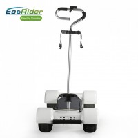 4 Wheel Golf Electric Scooter Foldable Golf Cart for Adults Golf Playing